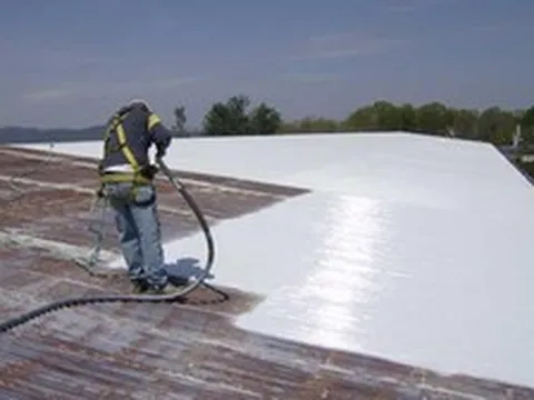 Không phải điều hòa hay quạt, cách này giúp nhà mát hơn hẳn: Nhiều người không hề biết