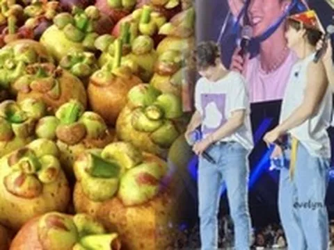 Nữ hoàng trái cây Việt giá 3 triệu/kg khiến khách Hàn lùng sục, làm ông hoàng Kpop mê điên đảo theo