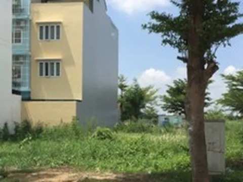 Tôi vô tình biết được bố mẹ chồng đã bán đất từ nhiều tháng trước, lý do nực cười là... vì tôi