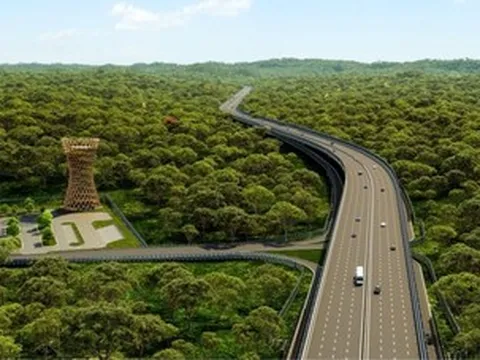 Đồng Nai khởi công cầu cạn hơn 17.000 tỷ đồng qua rừng Mã Đà