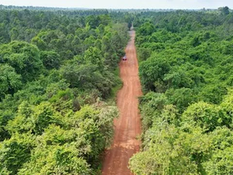 Hiện trạng tuyến đường xuyên rừng trước khi khởi công 13km cầu cạn trên cao