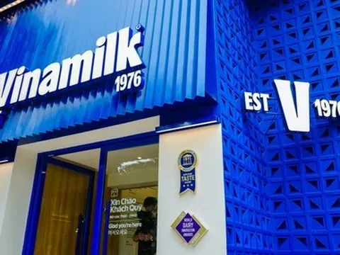 Cổ phiếu Vinamilk bất ngờ bị bán mạnh, rơi về đáy 7 tháng