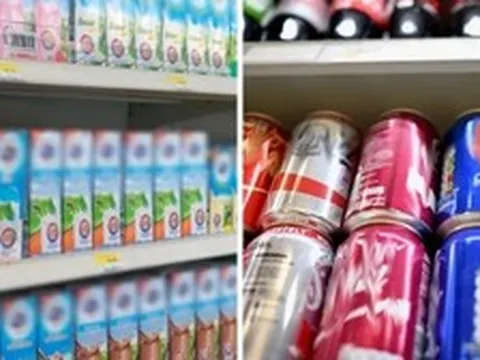 Vì sao sữa thường đựng trong hộp giấy, còn nước ngọt lại chuộng lon nhôm?