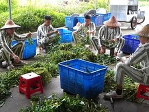 Từ hôm nay, mỗi tháng phạm nhân được gọi video về nhà 1 lần không quá 10 phút