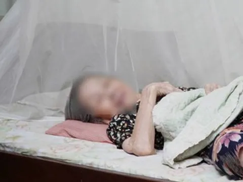 Vụ khiêng cụ 87 tuổi làm ủy quyền nhận lương: Phường nói do 'gia đình sốt ruột'