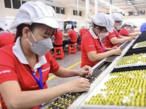 Doanh nghiệp nhỏ 'mắc kẹt' giữa áp lực chuyển đổi xanh