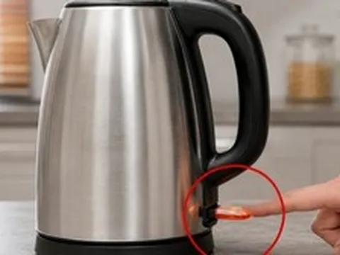 Vì sao ấm siêu tốc tự ngắt điện khi nước sôi?