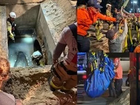 Bí ẩn lòng đất: Vì sao sinh vật khổng lồ dài 2 mét lại mắc kẹt trong ống thoát nước?