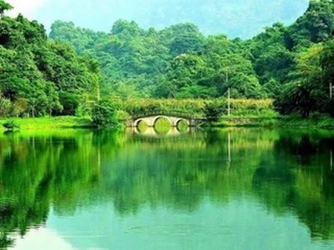 Bộ Nông nghiệp và Môi trường muốn tiếp tục quản lý 4 vườn quốc gia liên tỉnh
