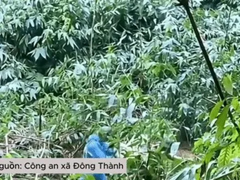 Vụ người đàn ông 90 tuổi lạc trong rừng: Xuyên đêm tìm, phát hiện nạn nhân nấp sau bụi rậm