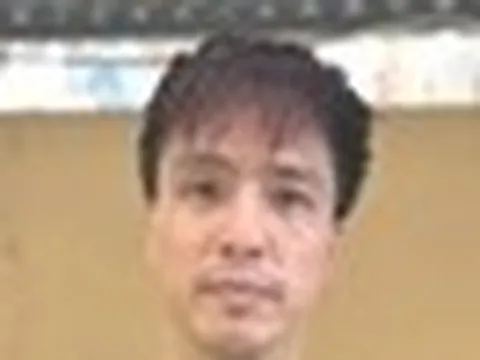 Tăng Nhật Tuệ cúi đầu xin lỗi khi bị bắt: 'Tôi mất tất cả rồi'