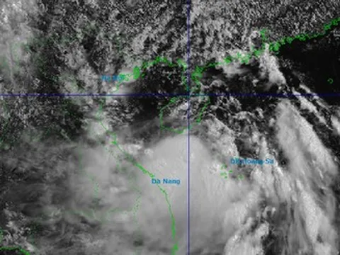 Bão số 1 Maysak đang tiến vào vịnh Bắc Bộ, 11 tỉnh thành khẩn trương ứng phó
