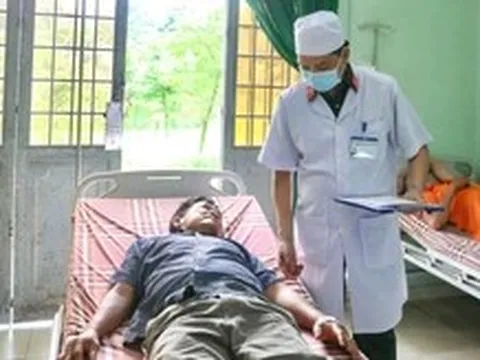 Trại rắn Đồng Tâm cảnh báo nguy cơ rắn độc cắn tăng cao vào mùa mưa lũ