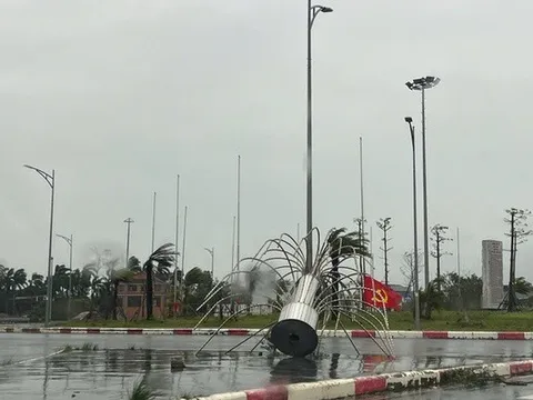 Bão số 1 khiến hàng trăm cây xanh gãy đổ, nhiều mái tôn bị thổi bay ở Móng Cái