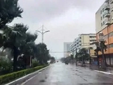 Móng Cái, Quảng Ninh gió mạnh dần lên, nhiều cây xanh ngã, mái tôn bị hất văng