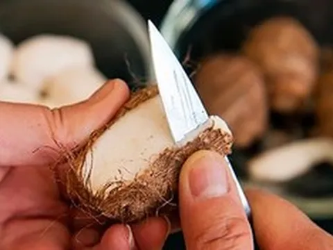 Loại củ quen thuộc được ví như "thực phẩm trường thọ", chợ nào cũng bán