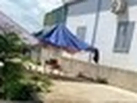 Vụ phát hiện hộp sọ người lúc cắt cỏ: Tìm thấy thêm nhiều mẫu xương, áo quần