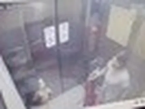 Bé gái 9 tuổi bị người phụ nữ tát sưng mặt trong thang máy: Nguyên nhân khiến cộng đồng mạng phẫn nộ