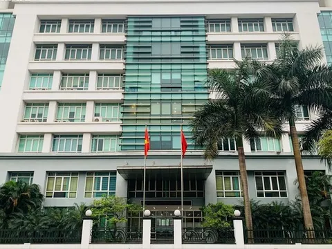 Nhiều sai phạm trong đấu thầu tại Cục Hàng hải và Đường thủy Việt Nam