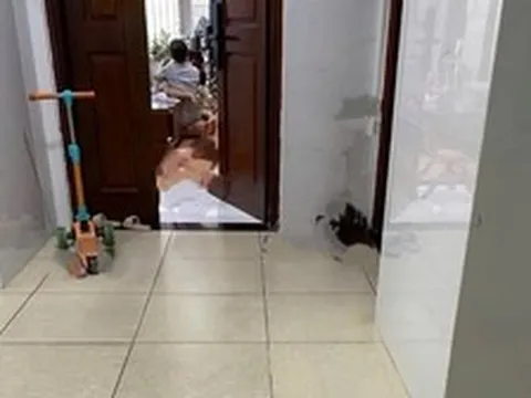 Drama chung cư: Vài giây đỏ mặt của nhà người ta và câu hỏi không biết trả lời sao từ con trẻ "Cô chú làm gì thế ạ?