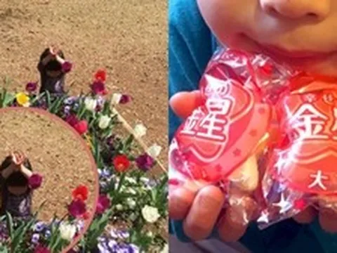 Cậu bé "giả làm hoa tulip để trốn tìm" nổi tiếng khắp thế giới ngày ấy giờ ra sao?