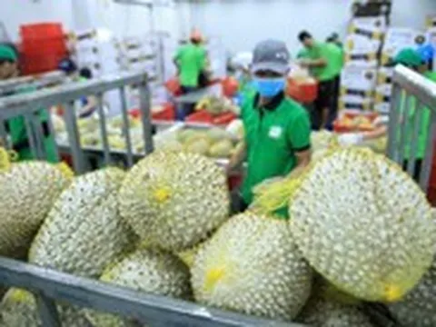 Làm gì để xuất khẩu nông, lâm, thủy sản đạt 100 tỉ USD?