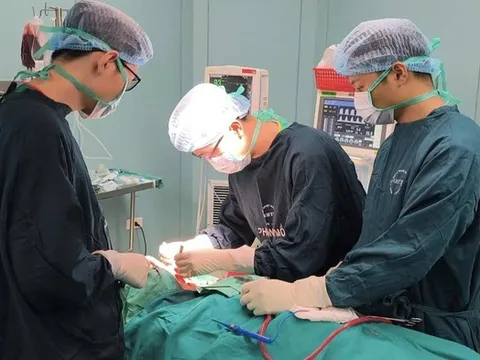 Bác sĩ cảnh báo nguy cơ sốc nhiễm khuẩn sau nhổ răng ở người có bệnh nền