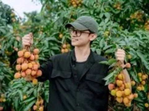 Vải thiều mất mùa, vẫn thu hơn 8.600 tỉ đồng