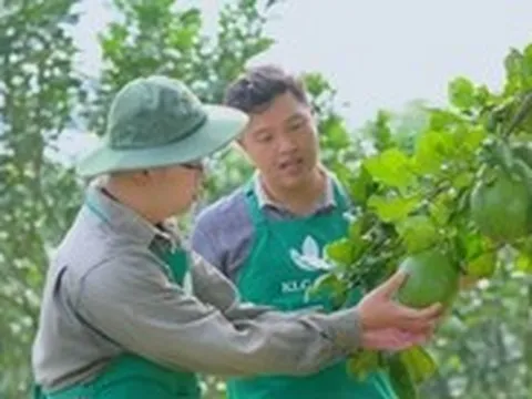 Nông nghiệp Việt Nam vươn toàn cầu: Đừng chờ lớn mới đầu tư, hãy đầu tư để trở nên lớn