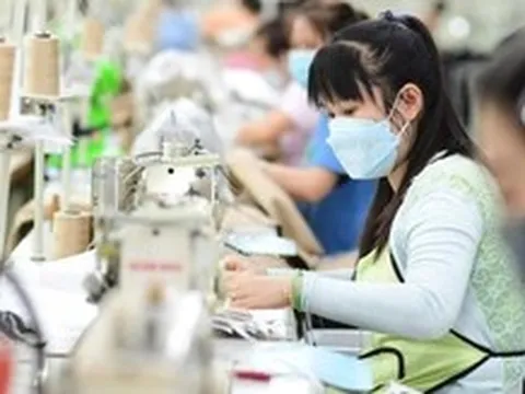 Mỹ bán bông nhiều nhất cho Việt Nam, Việt Nam xuất may mặc nhiều nhất sang Mỹ