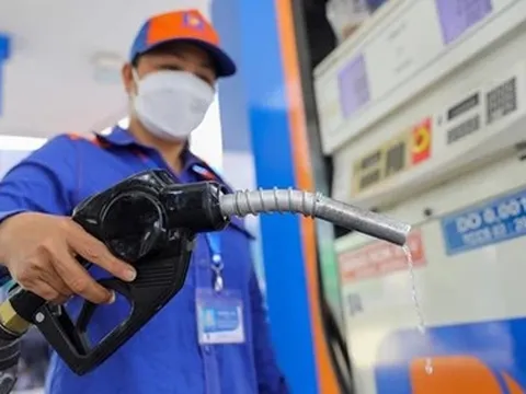Nhận hoa hồng quá thấp, doanh nghiệp bán lẻ xăng dầu nêu giải pháp để cung ứng bền vững