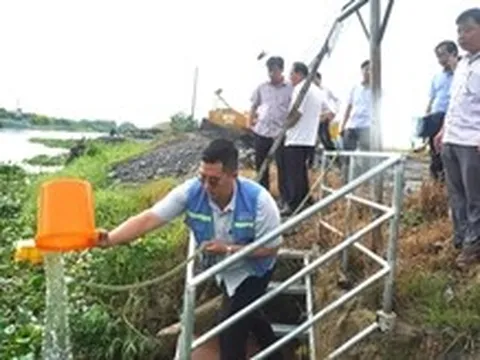 Rau màu, cây ăn trái tại Đồng Tháp chết bất thường