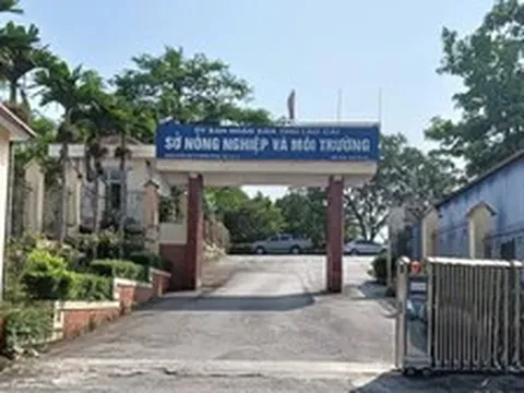 Nam cán bộ Sở Nông nghiệp và Môi trường Lào Cai tử vong trong tư thế treo cổ tại cơ quan