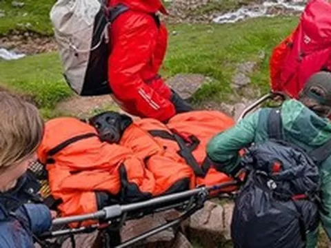 14 người giải cứu chú chó 'phê' cần sa kẹt trên đỉnh núi cao 1.345m