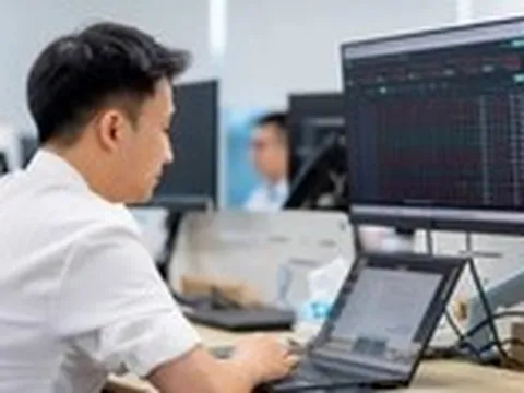 Dòng tiền suy yếu, chiến lược nào giúp nhà đầu tư ‘sinh tồn’ trên thị trường?