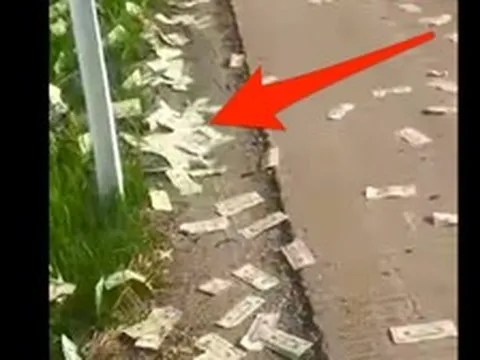 Phát hiện gần 16 tỷ đồng tiền mặt rơi vương vãi trên đường cao tốc