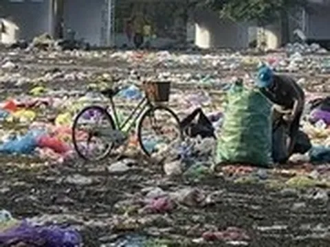 'Những thành phố mơ màng' bị gọi là thảm họa, ban tổ chức xin lỗi, nhận trách nhiệm