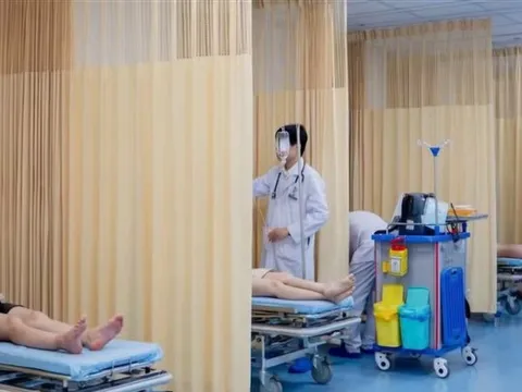 Đang đi chơi vui vẻ, 8 người bị ong vò vẽ đốt phải nhập viện