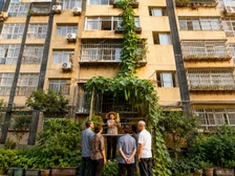 Chỉ trồng 1 cây mướp, cả tòa nhà 6 tầng đều được ăn: Hình ảnh khiến dân mạng không tin vào mắt mình