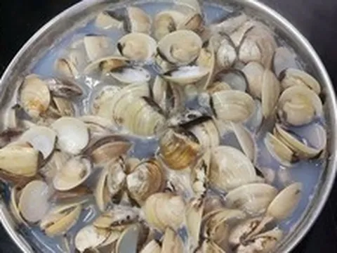 Lời khuyên khi mua ngao ở chợ