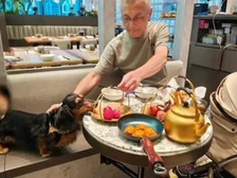 Khách cho chó cùng ăn trên đĩa nhà hàng cao cấp gây làn sóng sợ hãi ở Hong Kong