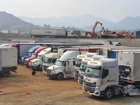 Thiếu tài xế container, chuỗi vận tải đối mặt nguy cơ đứt gãy