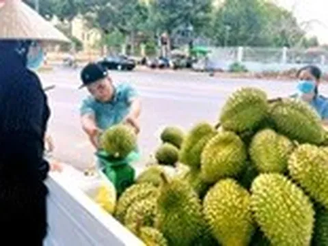 Hải quan 'lệnh' thông quan ngay sầu riêng, cấm gây khó doanh nghiệp