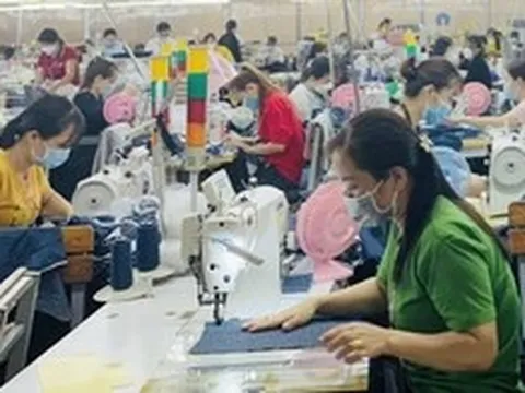 Vì sao có tình trạng ‘thừa việc, thiếu người’ ở Cần Thơ?