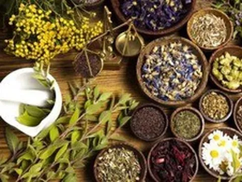 Phát huy vai trò của y học cổ truyền trong chăm sóc, nâng cao sức khỏe Nhân dân