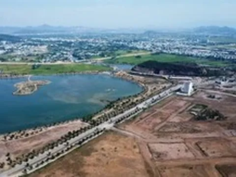 Chuyển mục đích 12,4ha rừng phòng hộ ở Quy Nhơn làm dự án khu đô thị hồ Phú Hòa