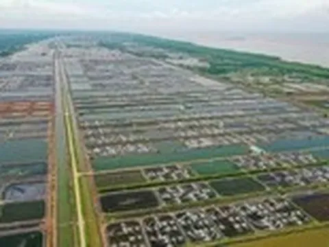 6 tháng để tăng tốc