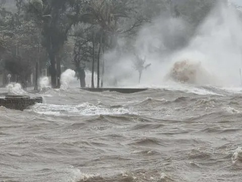 El Nino đạt đỉnh cuối năm, bão có thể diễn biến dị thường, khó đoán