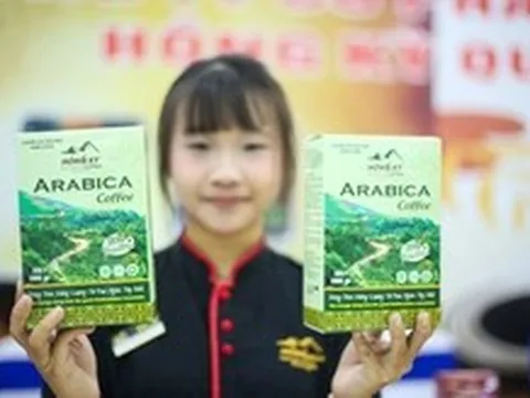 Điện Biên tăng tốc trồng cà phê