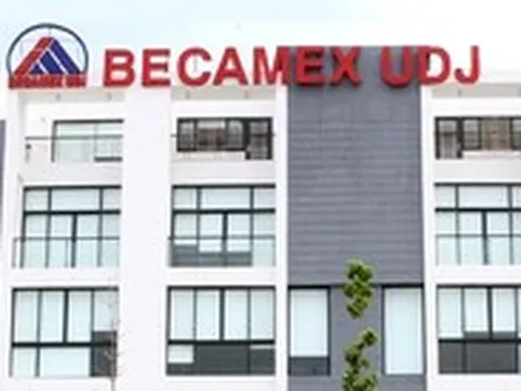 Một công ty bất động sản vốn trăm tỉ ở TP.HCM: 14 nhân sự, doanh thu vỏn vẹn 1 triệu đồng/tháng
